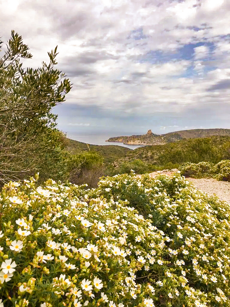 paysage de l'Islas de Cabbrera
